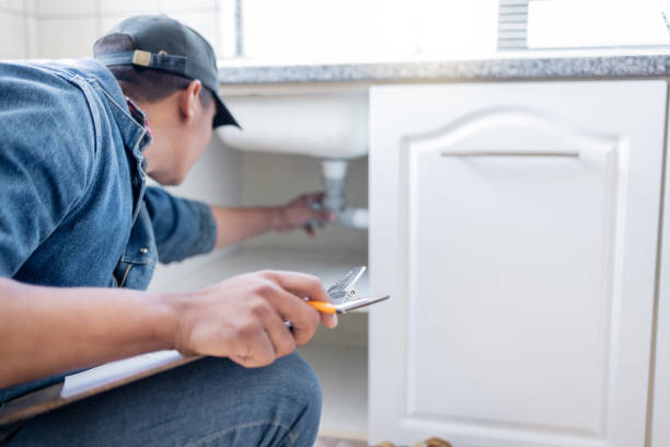 Best Residential Plumbing Services  in Dunlap, IL