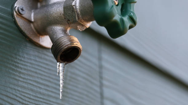 Best Affordable Plumber Near Me  in Dunlap, IL