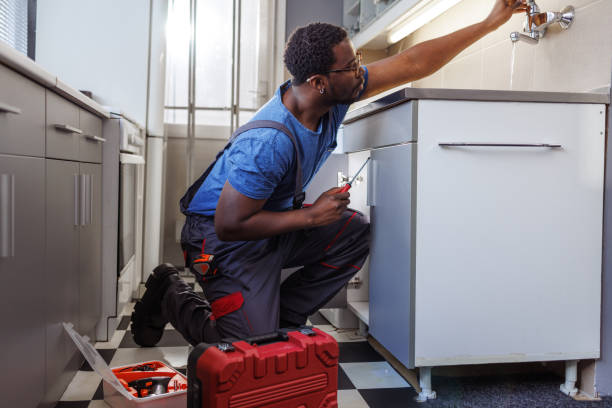 Best Affordable Plumber Near Me  in Dunlap, IL